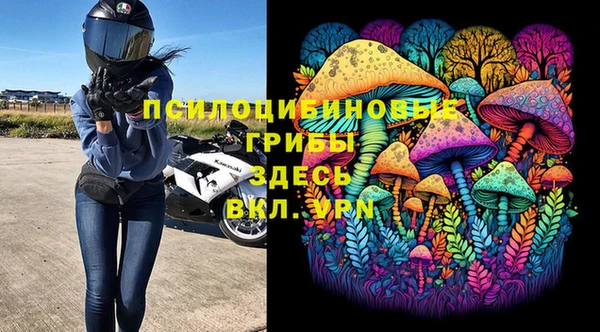ECSTASY Армянск