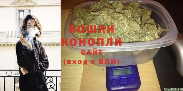 молекула духа Алексин