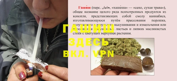 стаф Осинники