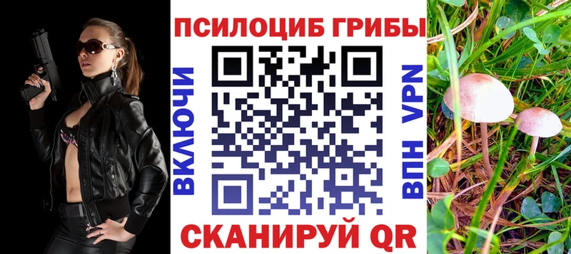 darknet телеграм  купить наркотики сайты  Лахденпохья  Галлюциногенные грибы Psilocybe 